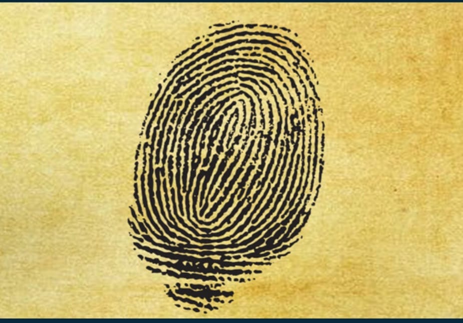 Sacred Consultation Space